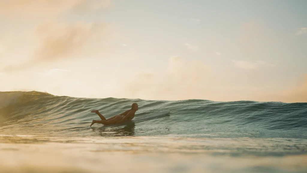 fellipe-ditadi-orNZBetv6Fs-unsplash