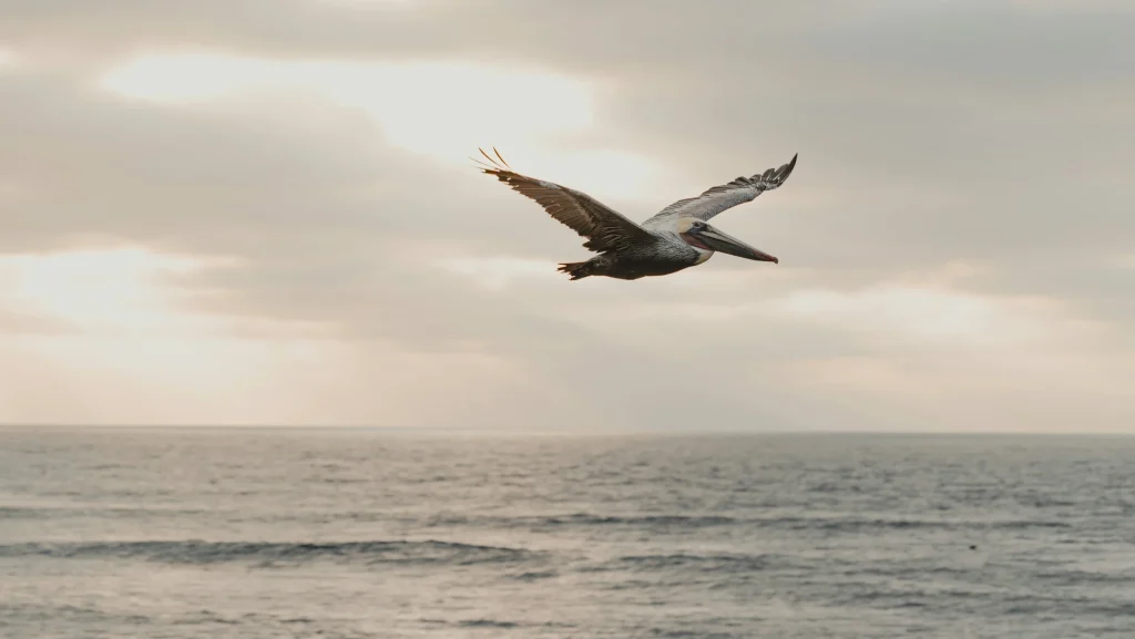 joe-eitzen-3nfq0X0cetg-unsplash