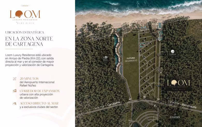 Referencia visual del proyecto LOOM Alma Beach